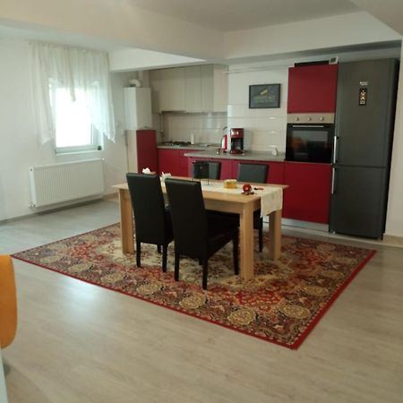 Quinet Apartament Leilighet Cluj-Napoca Eksteriør bilde